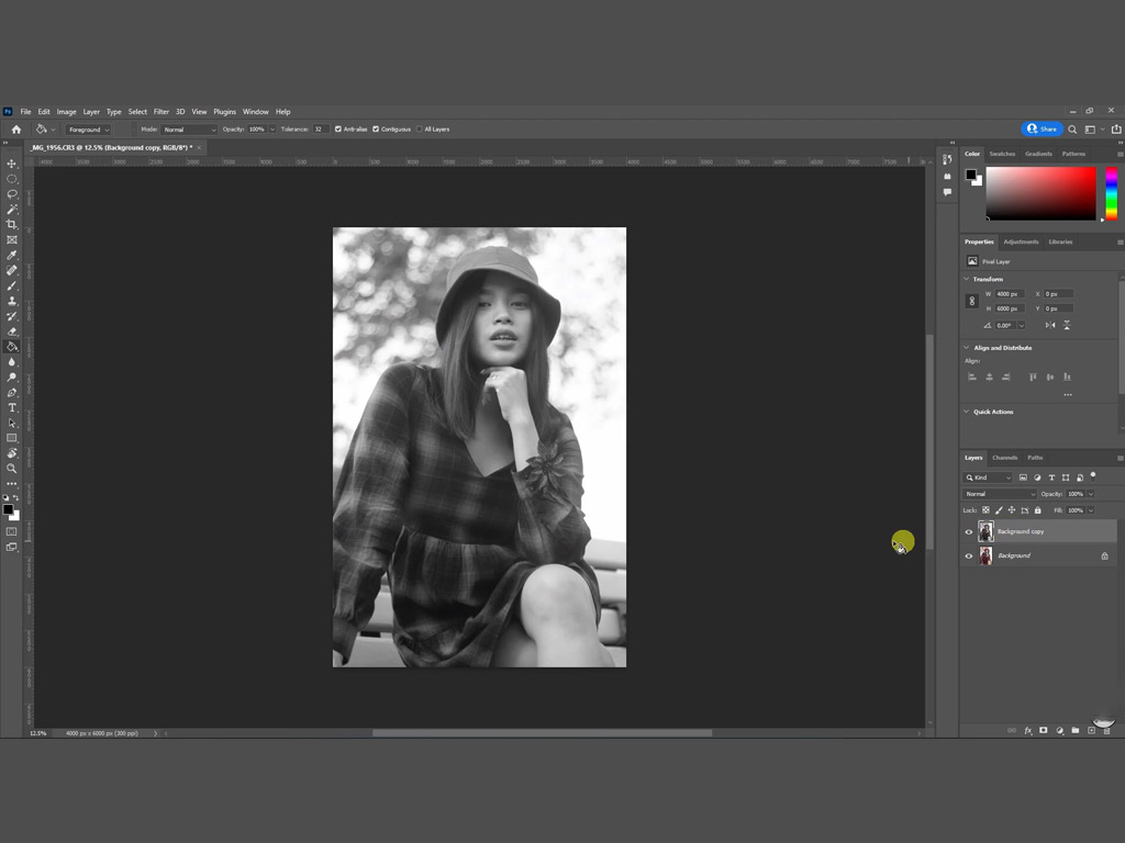 نمونه خروجی تصویر با Luminar Neo در فتوشاپ پس از تبدیل به Black & White